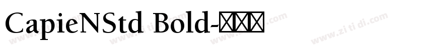 CapieNStd Bold字体转换